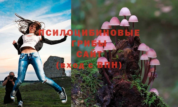 амф Магас