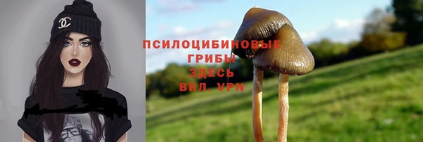 ECSTASY Майский