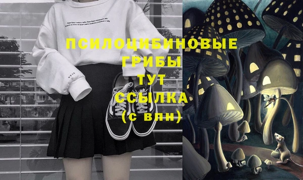 ECSTASY Майский