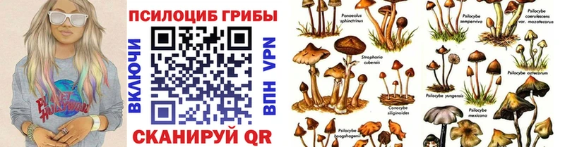 Псилоцибиновые грибы мухоморы  Чапаевск 