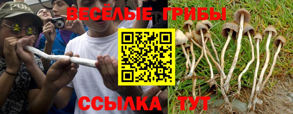 Чапаевск  Псилоцибиновые грибы ЛСД  Вход с VPN 