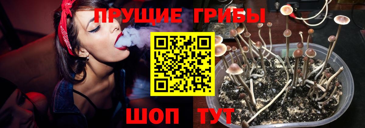 Лсд 25 Чапаевск